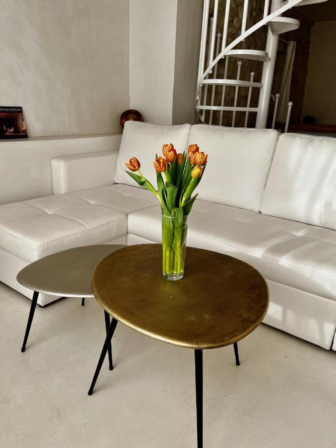 La Maison Plume, Appart Boutique Saint-Rémy-de-Provence المظهر الخارجي الصورة